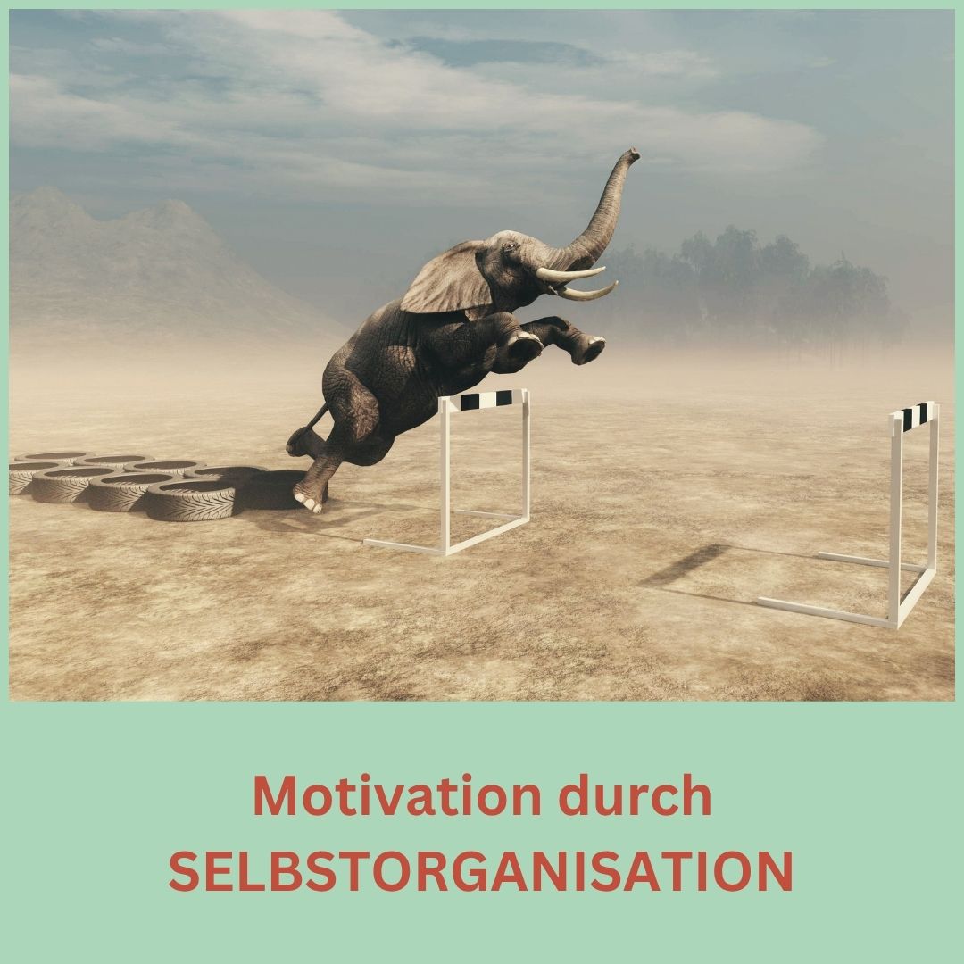 Titelbild Motivation durch Selbstorganisation